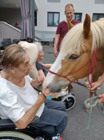 448930238_879690010864701_750619483904875126_n