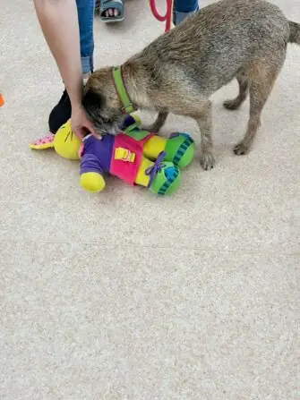 449080807_492178386517103_2107514476868887965_n