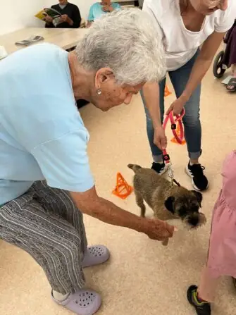 449152922_444591681739652_8325104559626733386_n