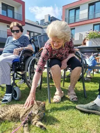 449191650_453816247361369_7914570656887163919_n