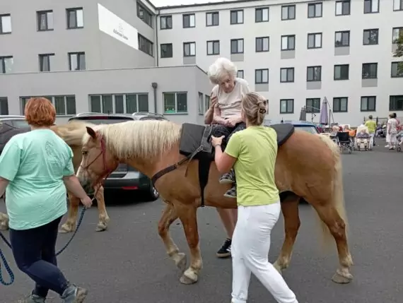 449436828_879691017531267_740430047413851254_n