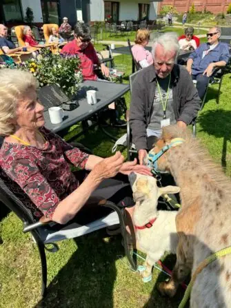 449491867_456791110397216_752596501278220330_n