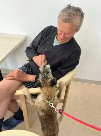 449622522_447891498015951_2704637606587331659_n