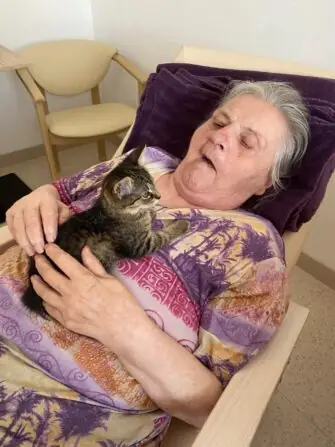 449661574_828374795551974_805457999172128600_n