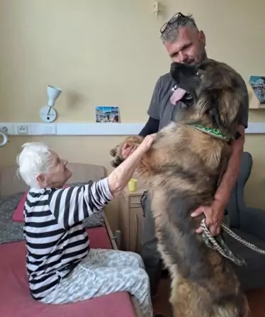 710163a6-51c3-4c41-bf1b-1d72bf9bbb7a