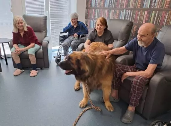 8b3764b0-17df-4763-9a3f-29ee114d8dae