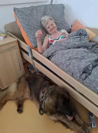 933dcfec-cf8d-4f2f-b776-d108c5bd30d0