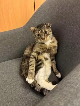 IMG-20240717-WA0000(1)