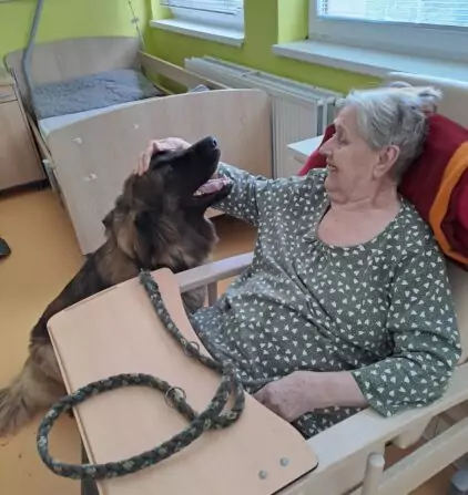 d43f1f99-566c-4f12-b7f1-b4d29e461dd6