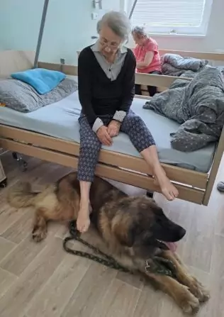 d9a6a9f6-9dbd-47d9-9998-ef793be8a896