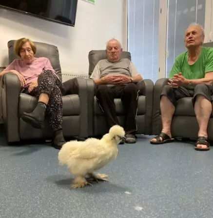 1e0b11f9-abd1-4bc3-9d56-12728c1e10a8