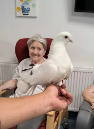 3e5cacaa-8b86-4ee0-8fd5-1f3e4accbe81