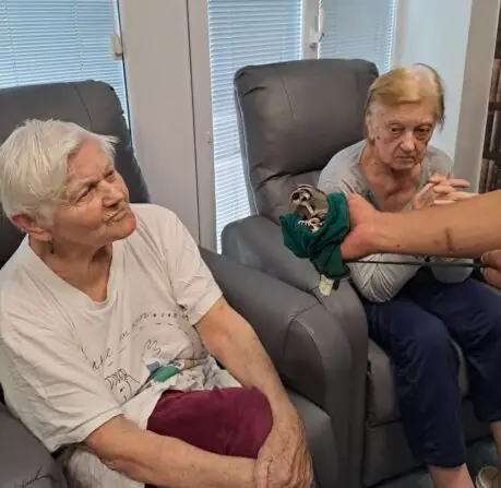 3fb630ad-7702-4528-8de4-62af826de2d7