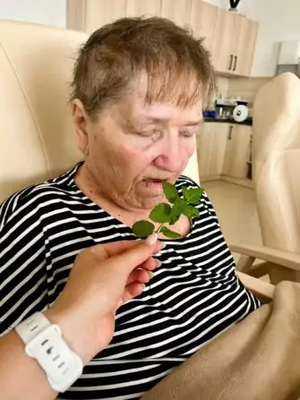 452589660_1567466617139402_6146801160841908121_n