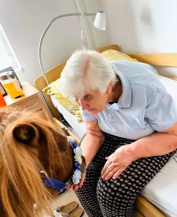 453157640_1252952642812171_6882952057591093134_n