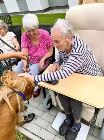 453337624_533977395646144_2835865716742361802_n