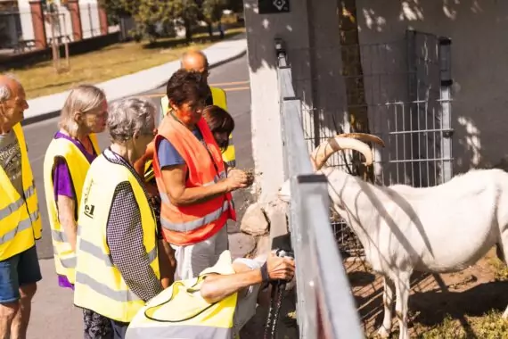 PHOTO-2024-08-14-07-25-59 3