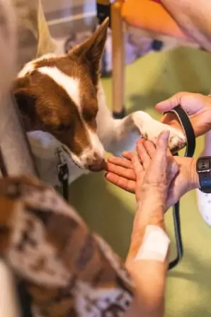 PHOTO-2024-08-21-18-28-55