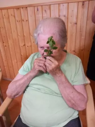 publisher_2024_5a5b105f-572c-4409-bf12-99170666f60d