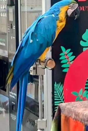 04A2A40E-A26D-4A80-936C-4B265A555227