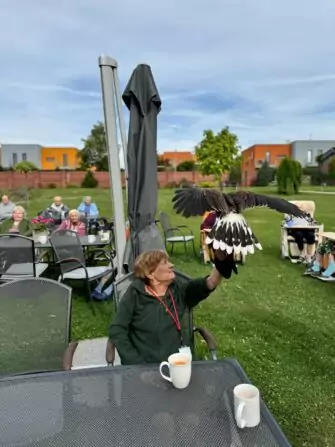 458209884_496554483087545_8773386001594821751_n