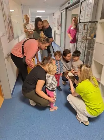 6e8ee791-39b3-46e7-a989-3fea5697e1fb