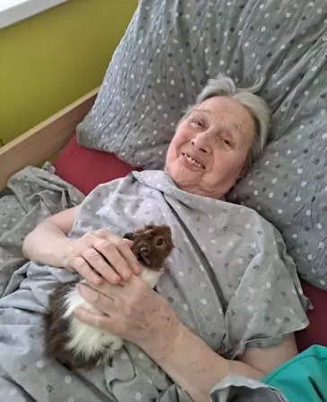 8b88d369-e288-4757-a5a1-20330021f489