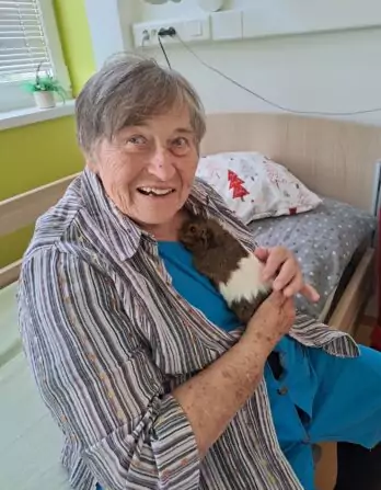 9c933e3b-ee4b-4cac-b1c7-12a8d48a8721