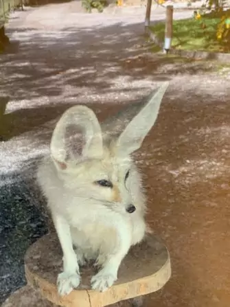 207afa3b-aa35-4830-9c6c-5f4e6063a212