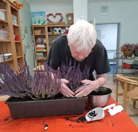 249af529-17f8-4918-ba65-cf8e25e034c7