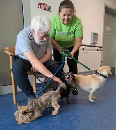 3daba811-fe7a-414b-86f1-a831146b311a