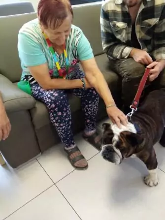 462367898_951741263659575_2458147190514906676_n