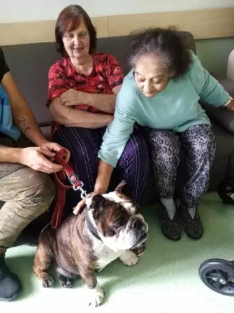 462475249_951741713659530_9102337645943463041_n