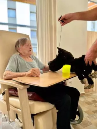 462537922_1080140586948577_9046744904694386897_n