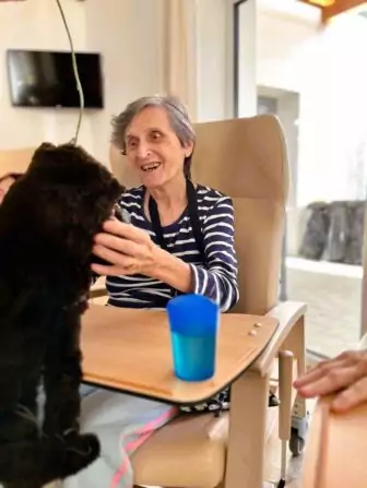 462540864_1031916238706978_555376425455547510_n