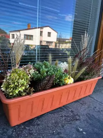 462540895_518222017801217_3078393483620948738_n