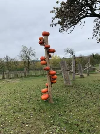 462542154_3106223052849547_8564578354360638327_n