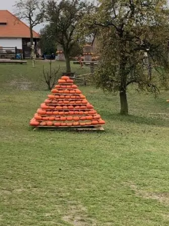 462542226_897866695223060_4584288665785516436_n