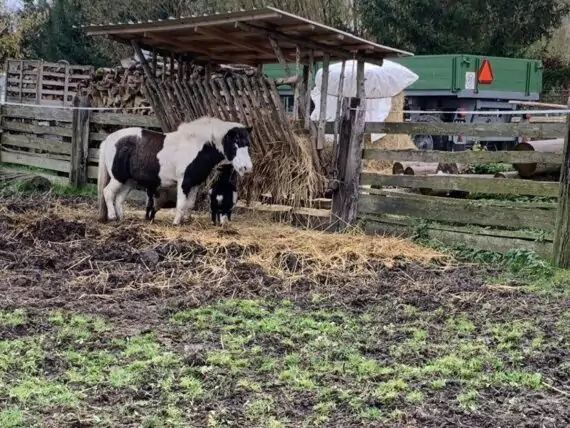 462542776_911837924162147_6830326497113830153_n