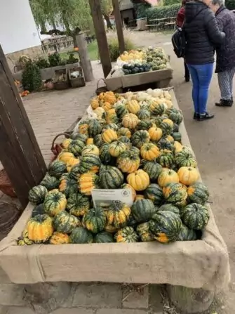 462544090_972377261316310_4103053012142998045_n