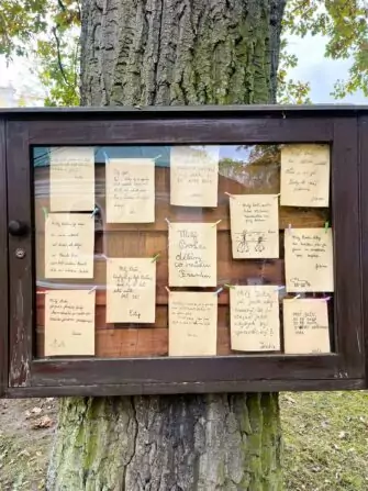 462545388_1291768705323362_4150449636946051635_n