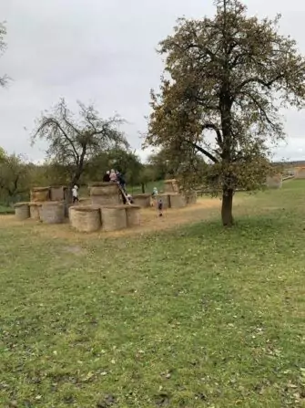 462545664_521869677339797_6412172139622331099_n