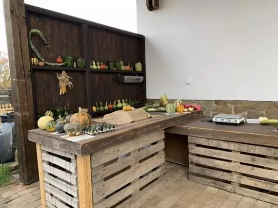 462545908_1208448140211931_9103075576281644135_n