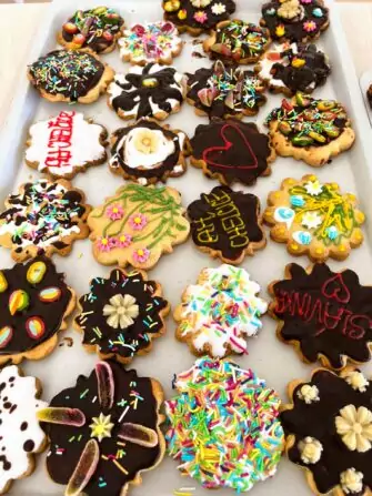 462547888_526068150329506_6193361567299148020_n