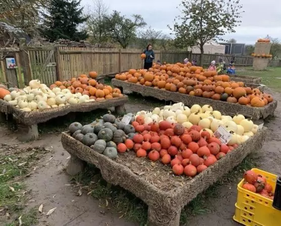 462549125_3414570858851025_7601723604346274446_n