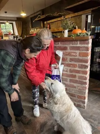 462571814_562245719522778_8924678376133620645_n