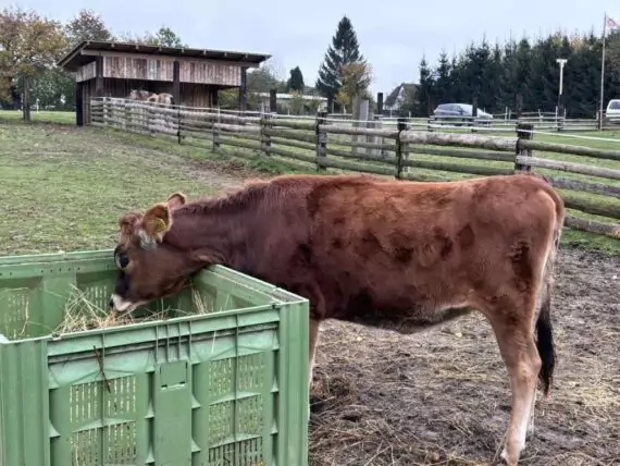 462584148_2482546985469611_5510263876106195490_n