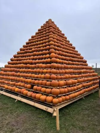 462585945_1796033414471567_5621749957014030730_n