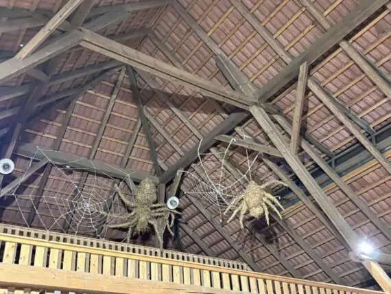 462649158_1739725073466987_5872517978940471145_n