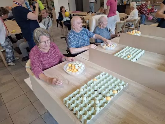 463970123_529986759744317_7469815753553437786_n